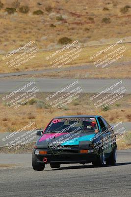 media/Feb-22-2025-Team Topak Racing (Sat) [[cb57a51a40]]/86 Party Brigade/Turns 13 and 14/